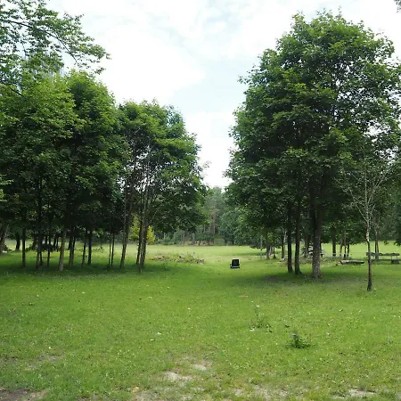 Stadnina *